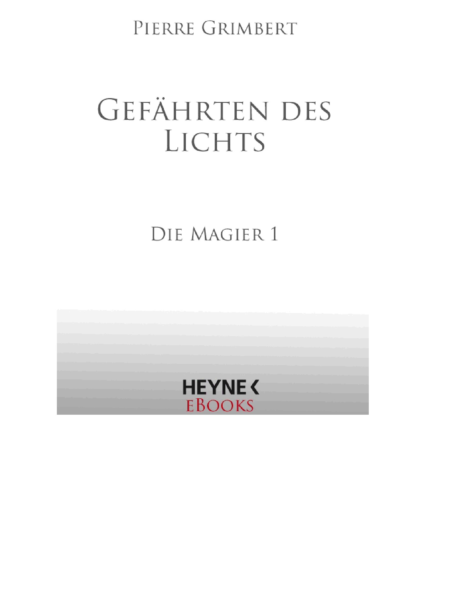 Gefährten des Lichts: Die Magier 1 - Roman