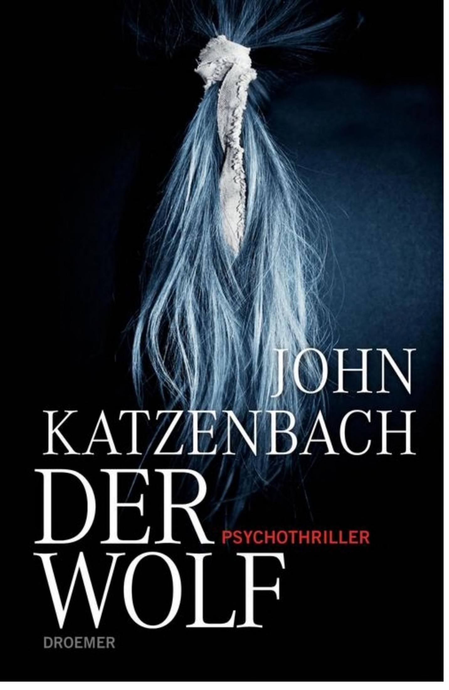 XXL-Leseprobe - Der Wolf: Psychothriller