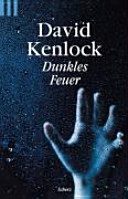 Dunkles Feuer: Roman