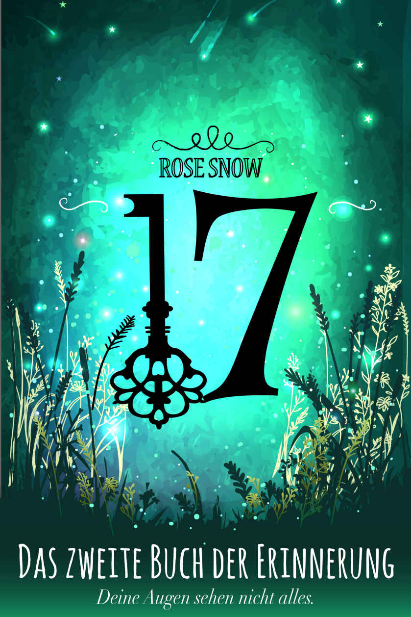 17, Das zweite Buch der Erinnung