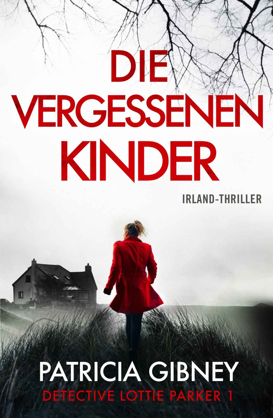 Die vergessenen Kinder: Irland-Thriller