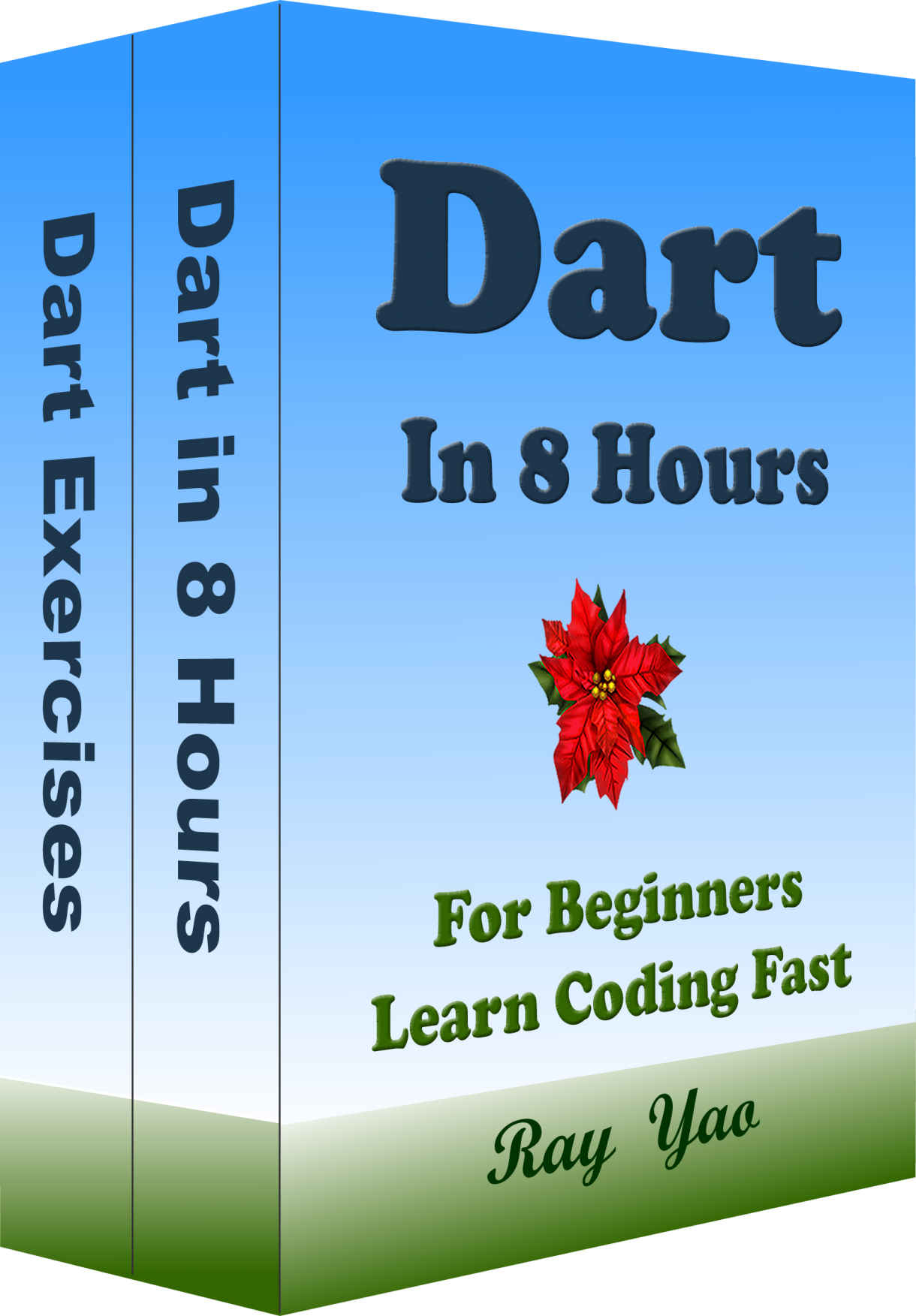 DART Programming in 8 Hours, for Beginners, Learn Coding Fast: Dart Quick Start Guide and Exercises