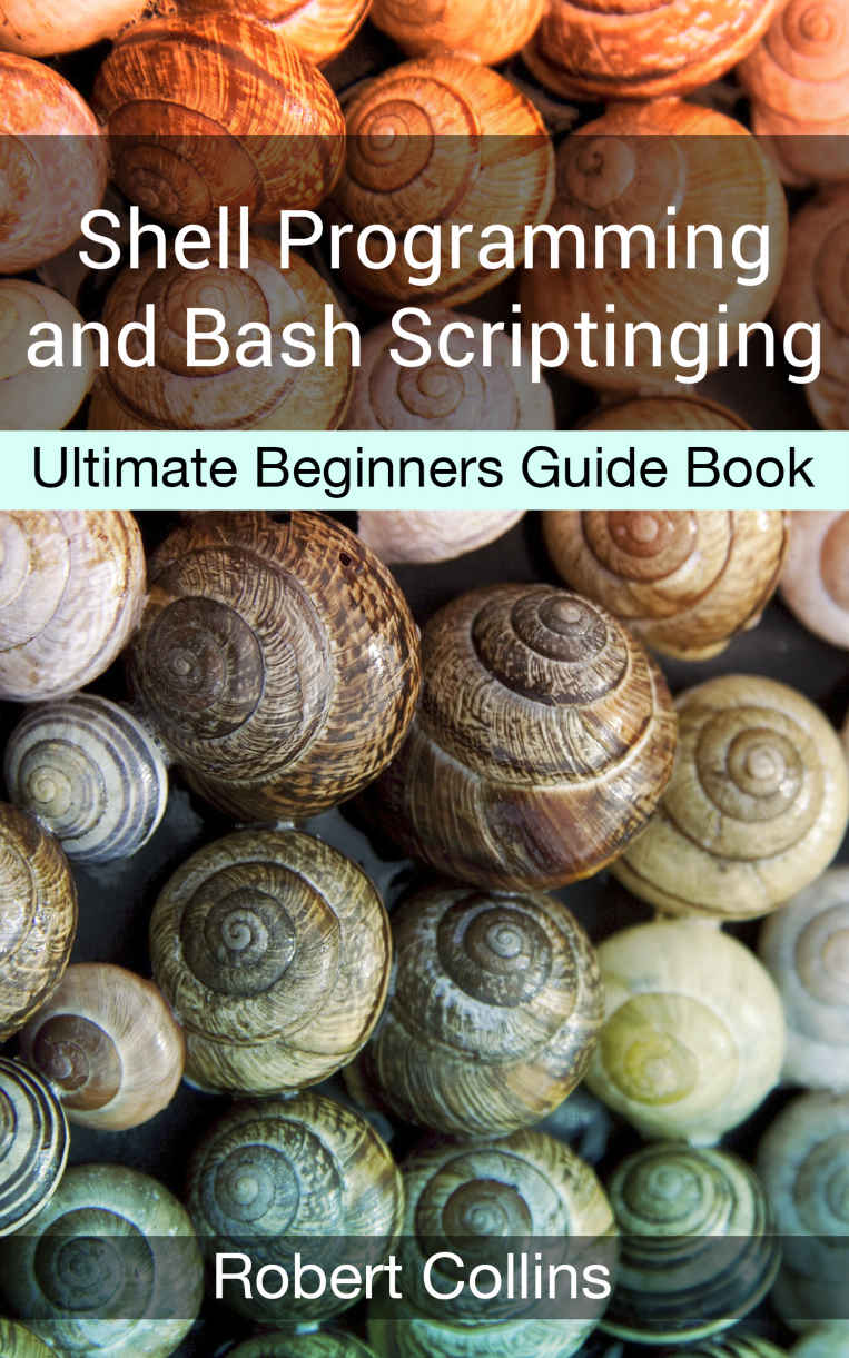 Shell Programming and Bash Scripting: Ultimate Beginners Guide Book