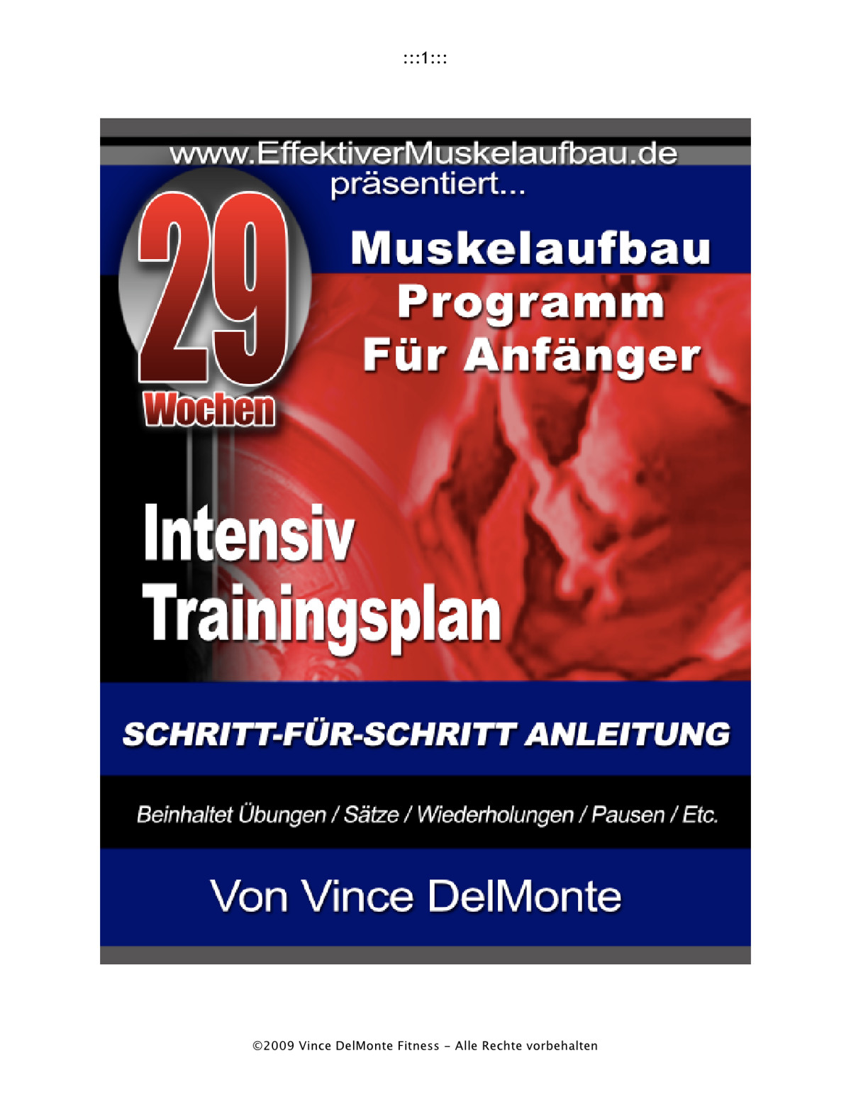 Muskelaufbau Programm für Anfänger