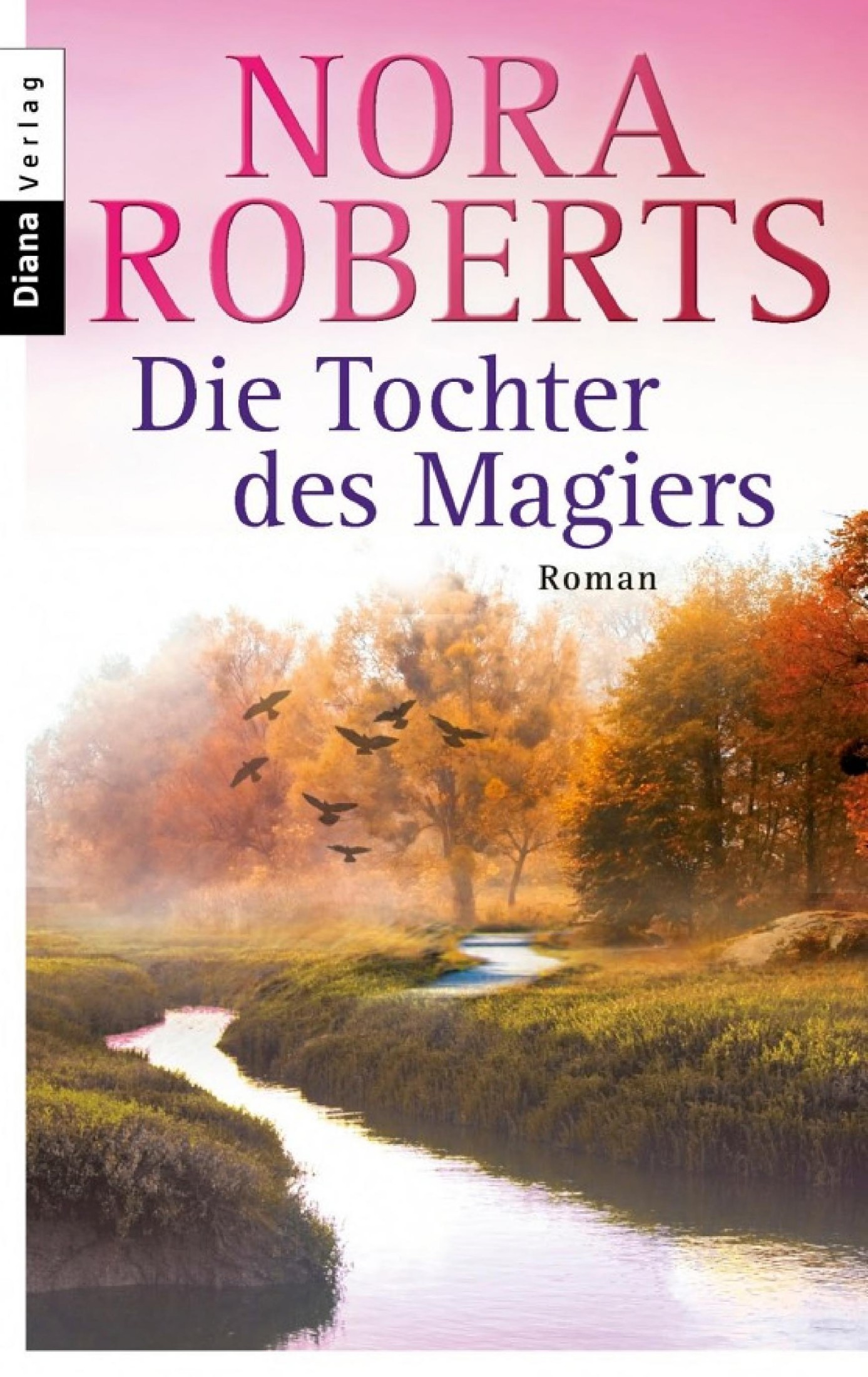 Die Tochter des Magiers: Roman